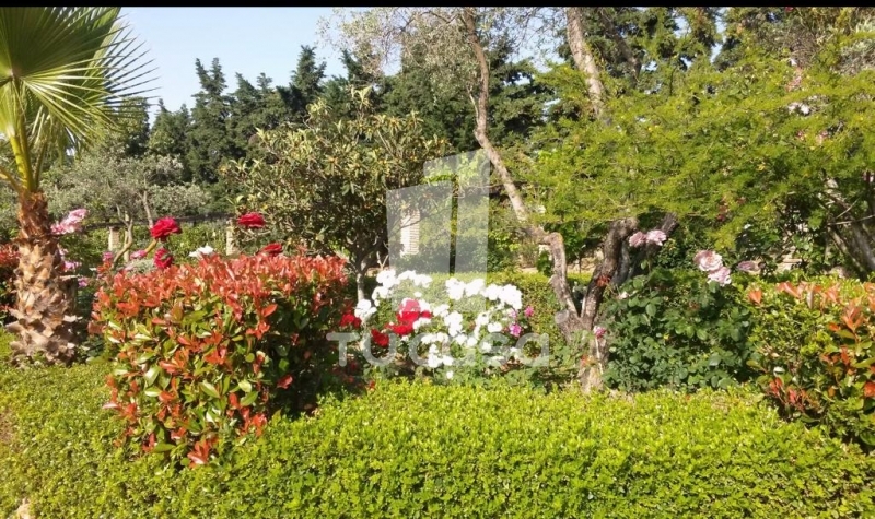 property-img