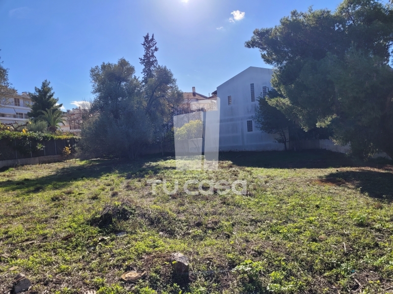 property-img