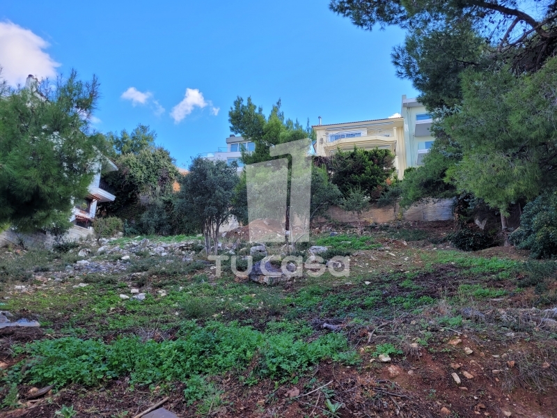 property-img